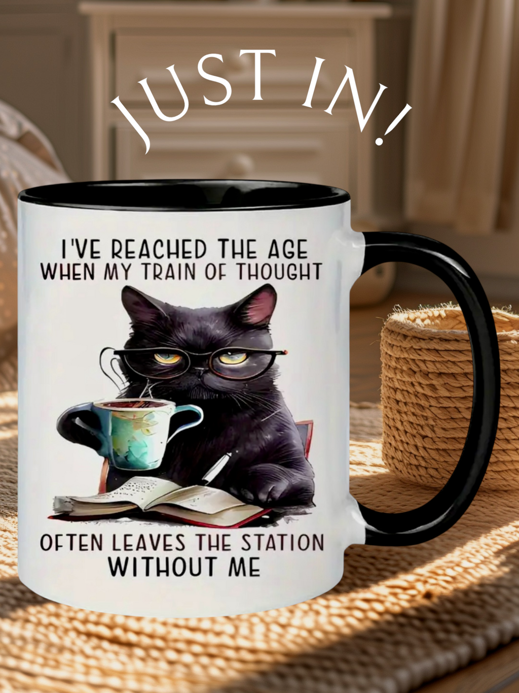 Cat lover's mug - I've reached the age...
