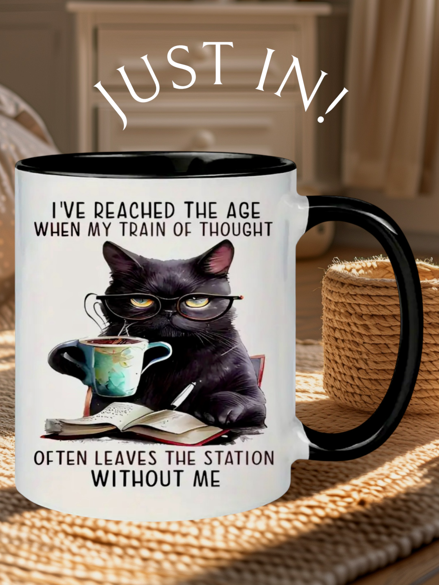 Cat lover's mug - I've reached the age...