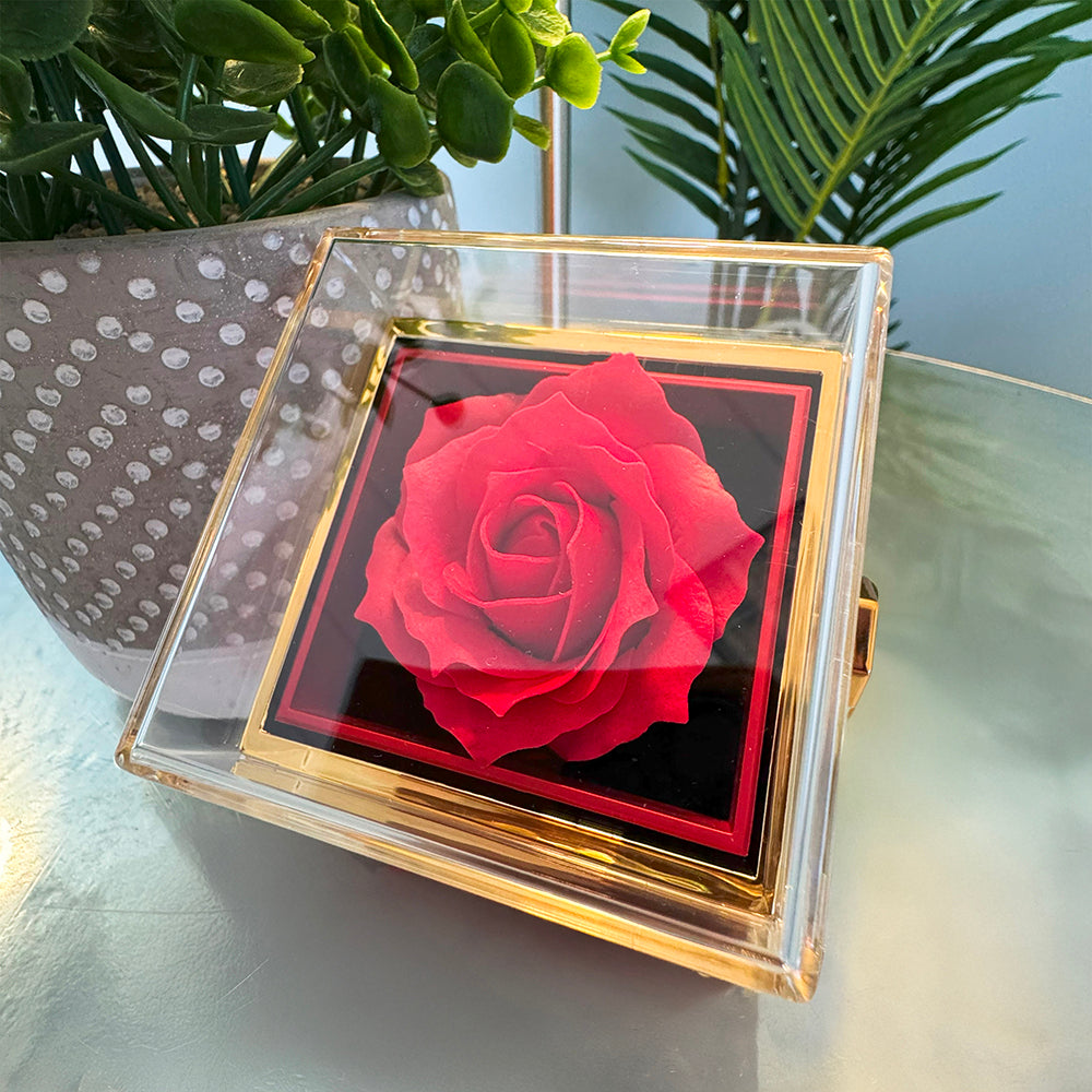 Forever Love Necklace in a RoseBox - Soulmate (ANY OCCASION or RELATIONSHIPS)
